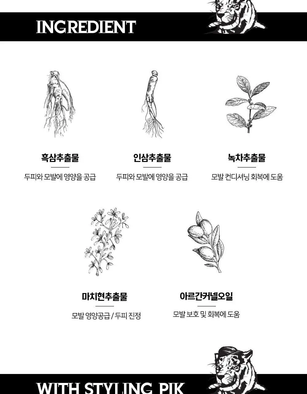[변우석 Pick]다슈 클래식 타이거레이지 수성포마드 168ml 상세페이지 22